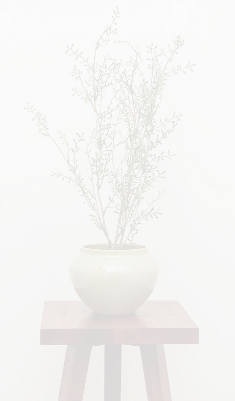 transparant image of a plant on a stool